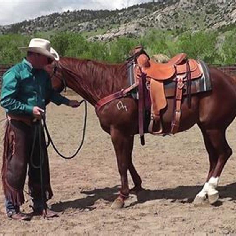 How do you teach a horse to hobble?
