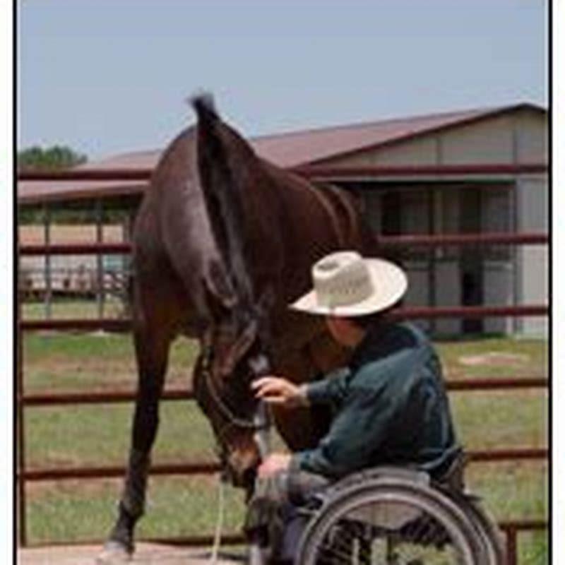 How do you teach a horse to lay down to mount?