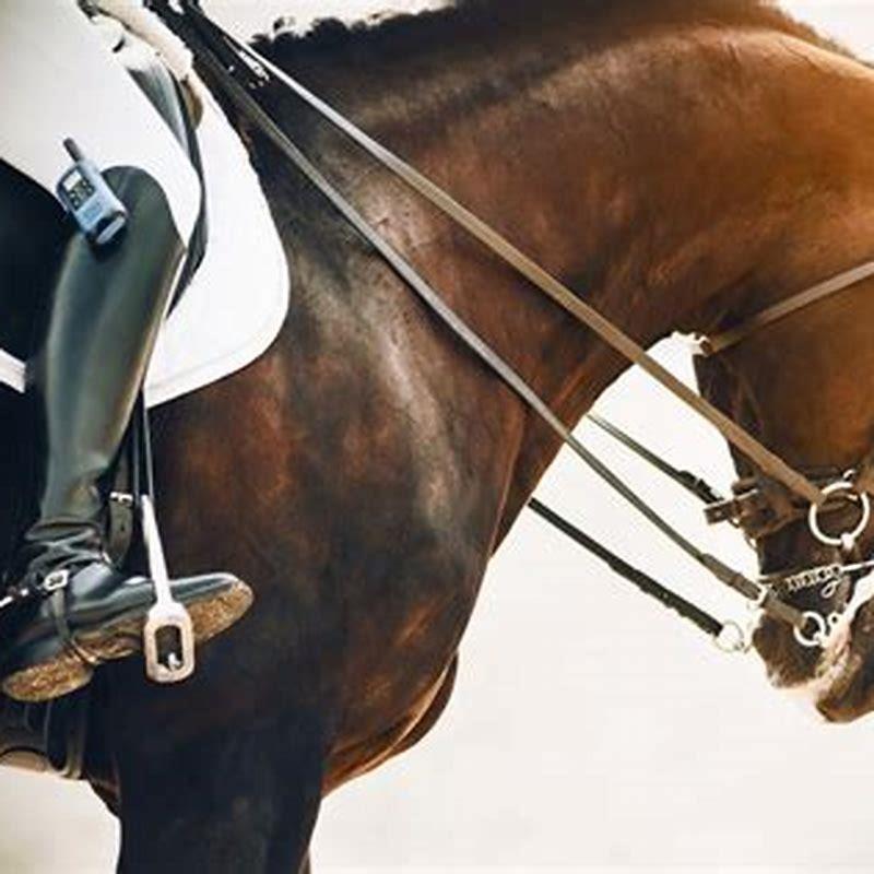 How do you teach a horse to neck rein?