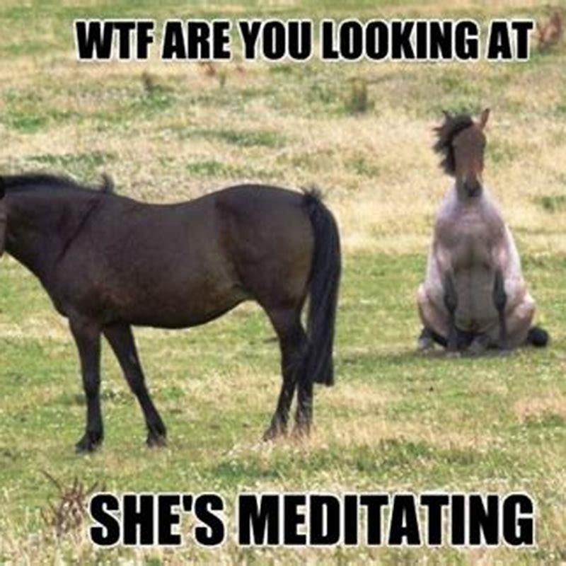 How do you tell if my horse is a Quarter Horse?