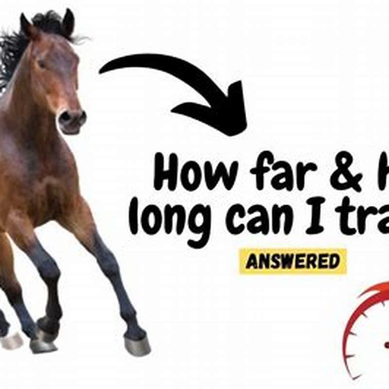 How far can a horse trot in an hour?