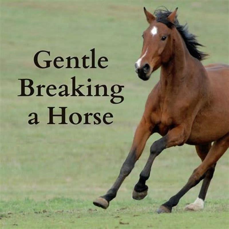 how-hard-is-it-to-break-a-horse-to-ride-diy-seattle