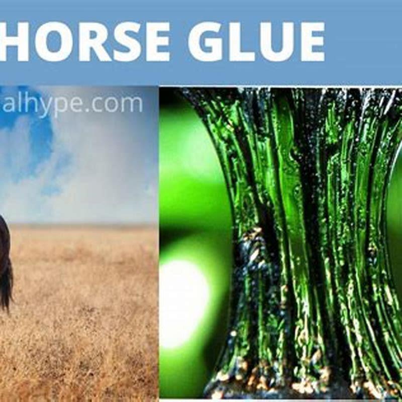 How is a horse made into glue? - DIY Seattle