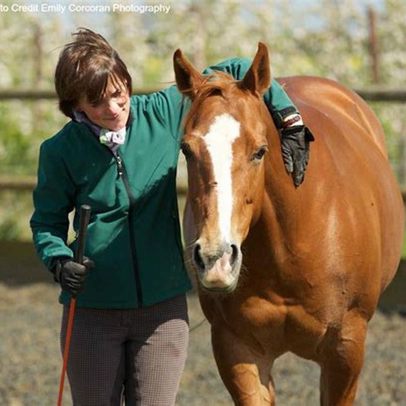 How is equine therapy defined?