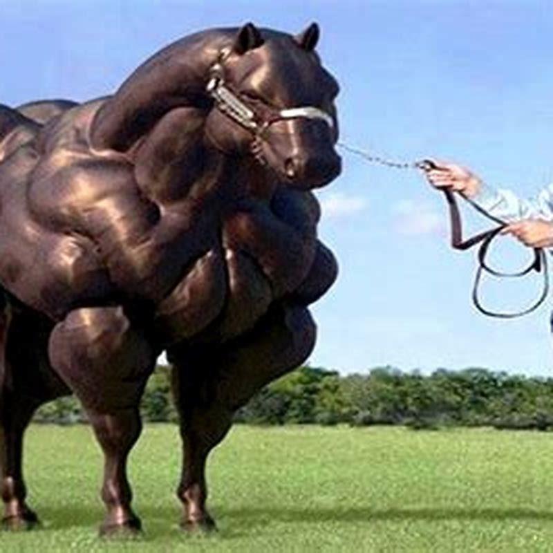 How long can horses go without eating?