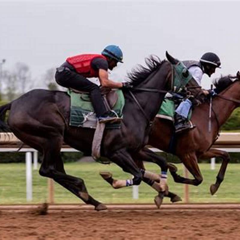 how-long-does-a-race-horse-last-diy-seattle