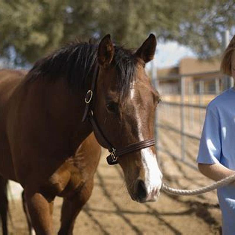 How long does it take to make compost from horse manure?