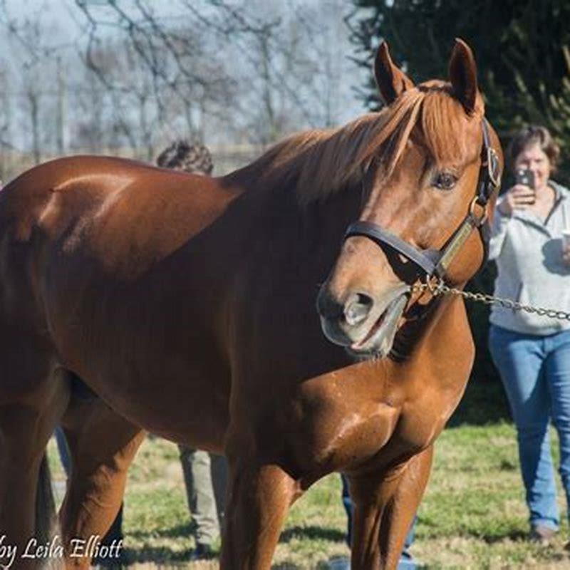 How long is a furlough in horse racing?