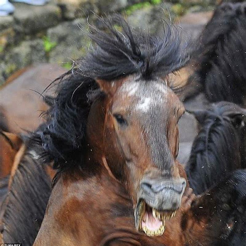 How long will Crazy Horse take?