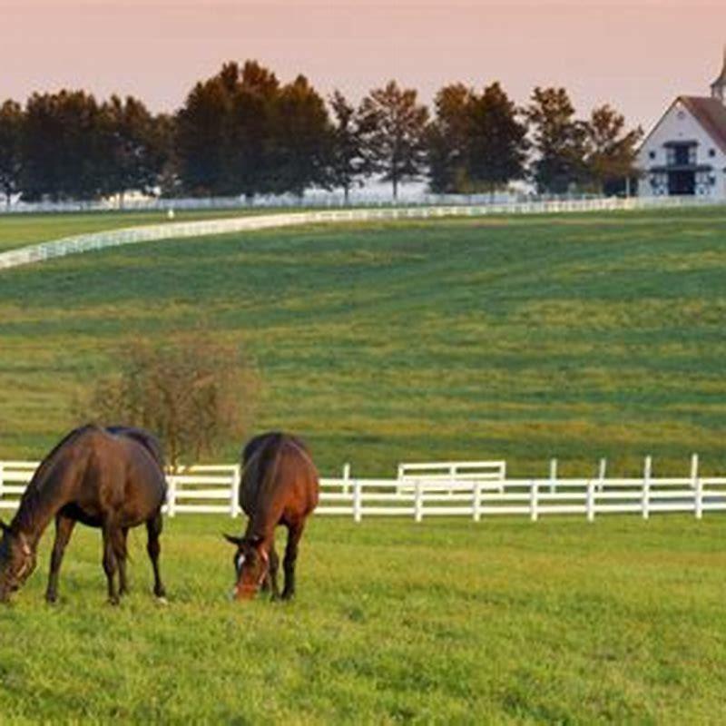 How many acres of land do I need for a horse?