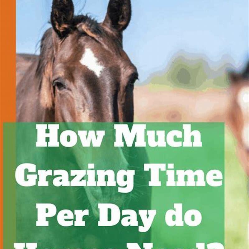 how-many-acres-of-pasture-do-you-need-per-horse-diy-seattle