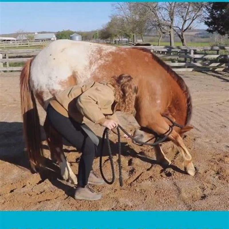 How many hours is a horse in labor?