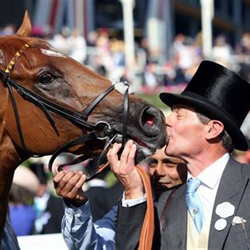 How many times does a horse have sex?