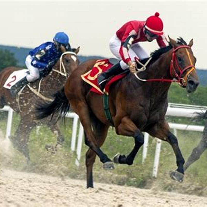 How many years can a horse race?