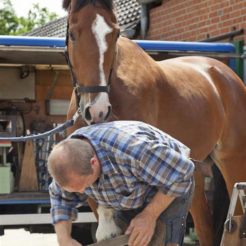 How often do you need a farrier for your horse?