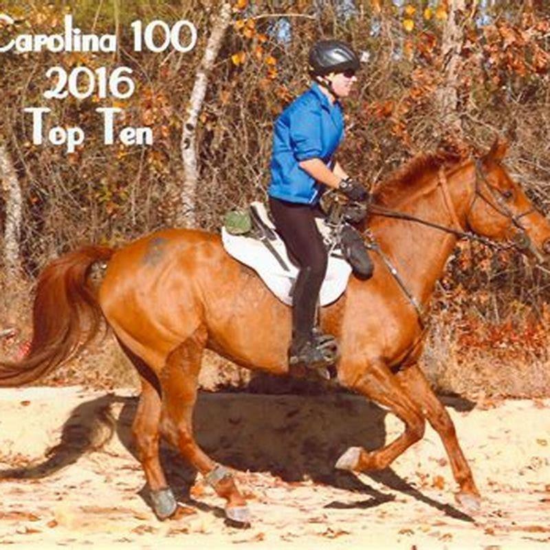 Is a bit necessary for a horse?