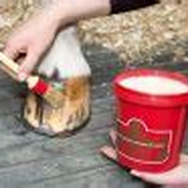 Is Are marshmallows made out of horse hooves?