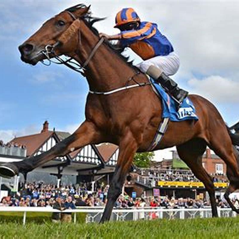 Is class important in horse racing?