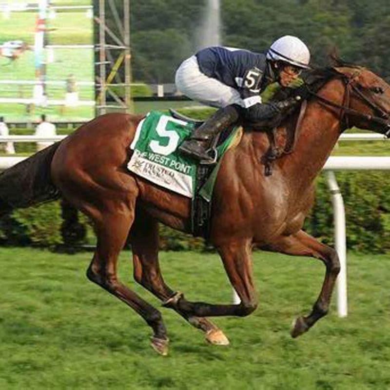 Is FanDuel horse racing legit?
