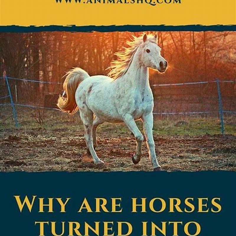 Is glue made of horse sperm? - DIY Seattle