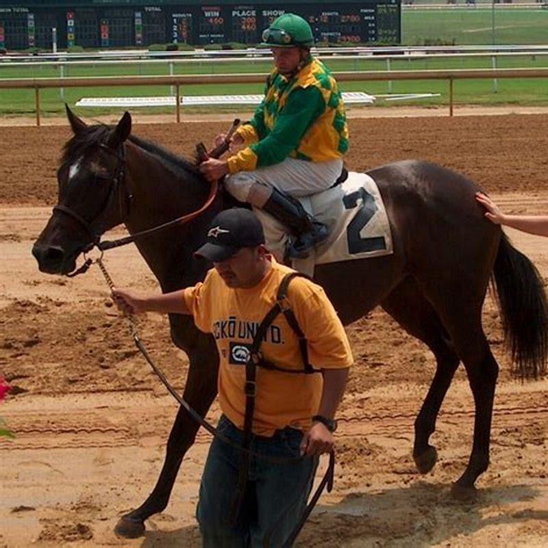 Is horse racing considered cruel?