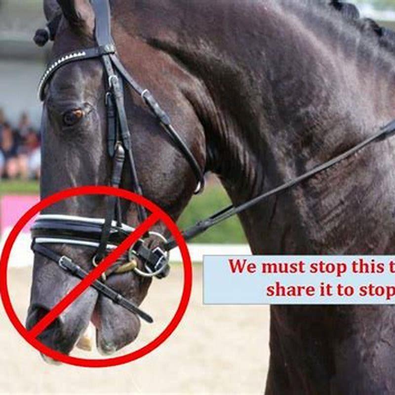 Is it cruel to clip a horse?