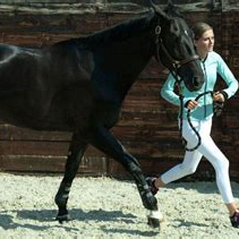 Is it hard to train a horse to ride?