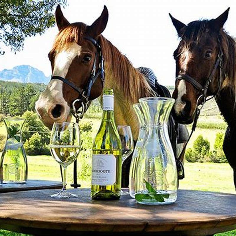 Is Rombauer horse named after wine?