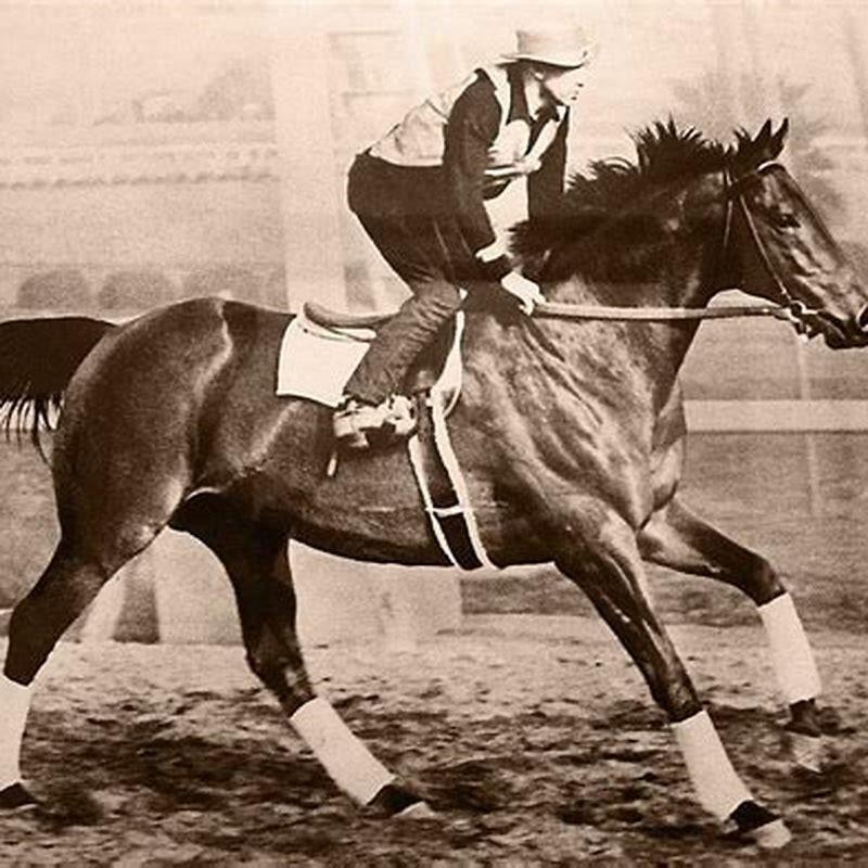 Is the horse that played Seabiscuit still alive?