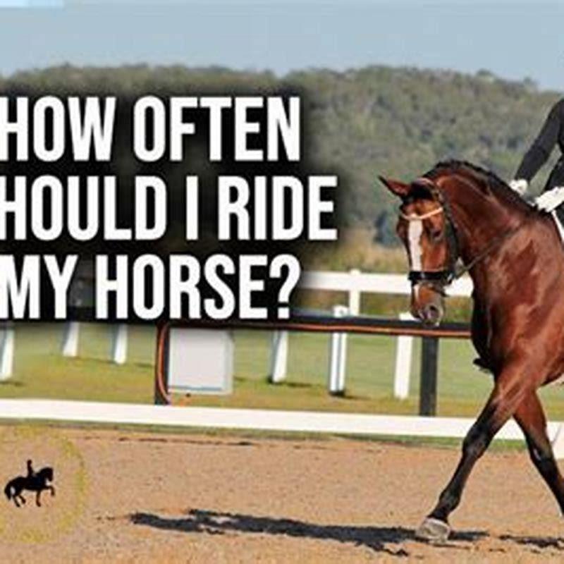 Should I board my horse?
