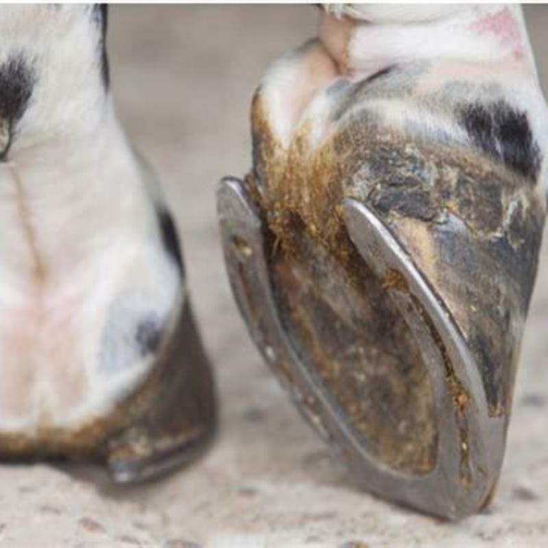 What are hooves used to make?