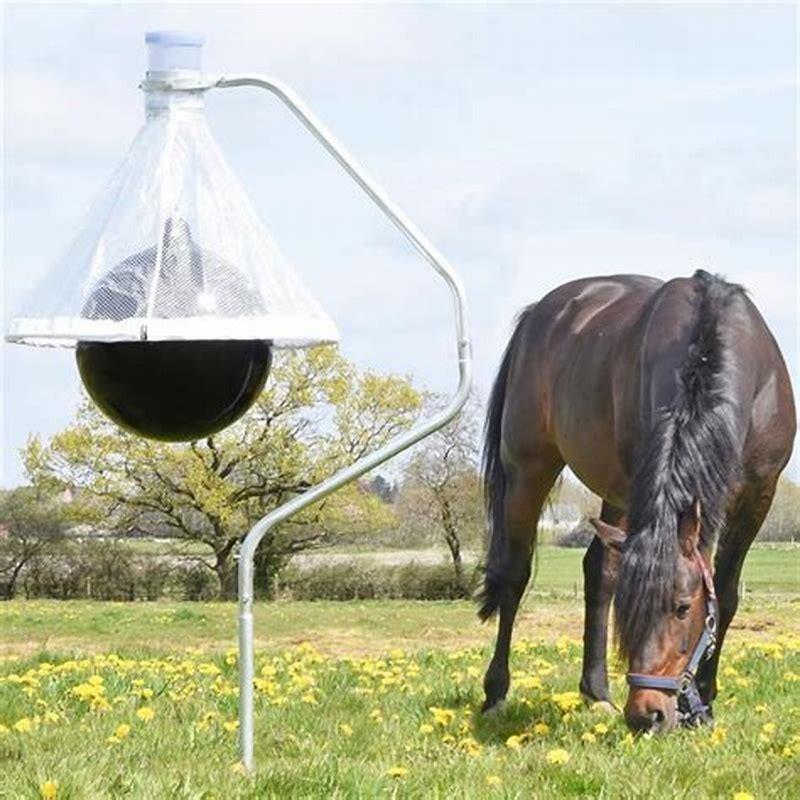 What attracts horseflies to horses? - DIY Seattle