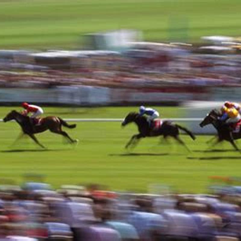 What channel is UK horse racing on today?