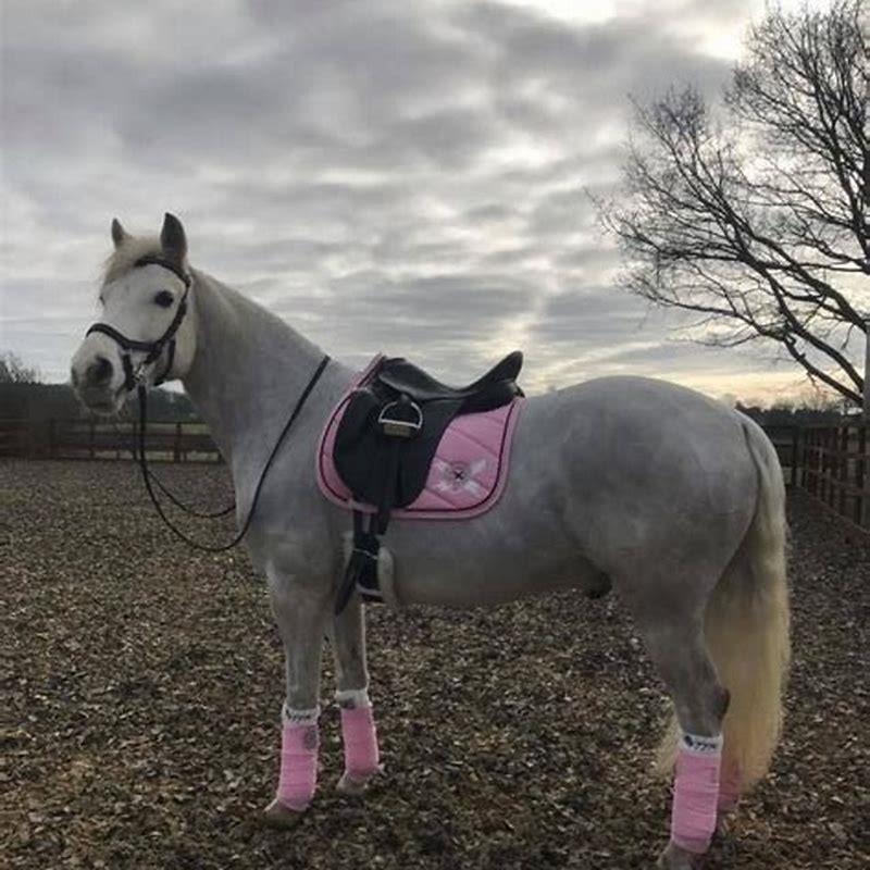 What colours suit GREY horses?