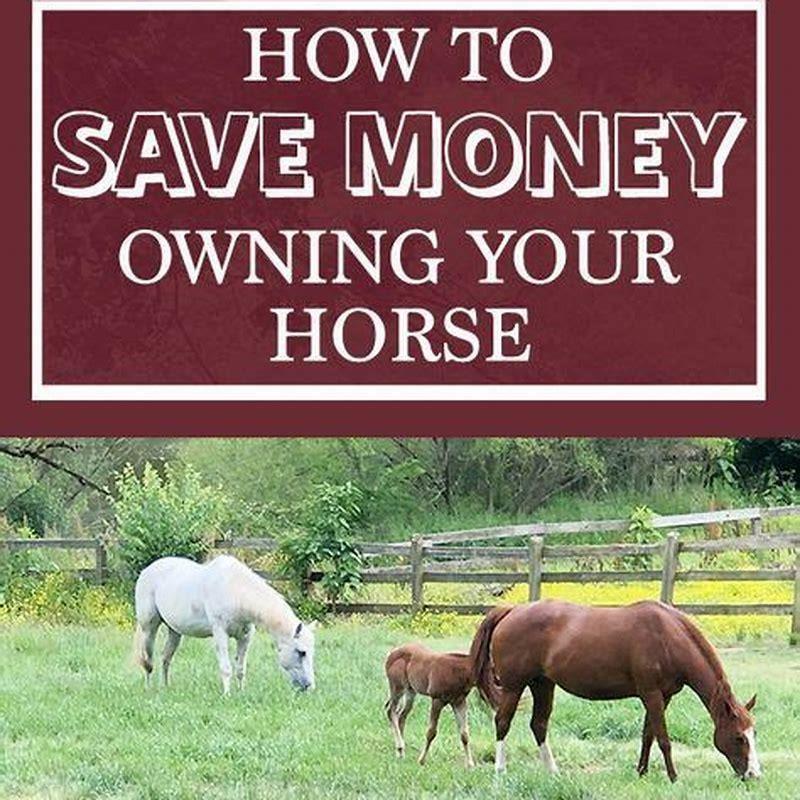 What do I need to know before leasing a horse?