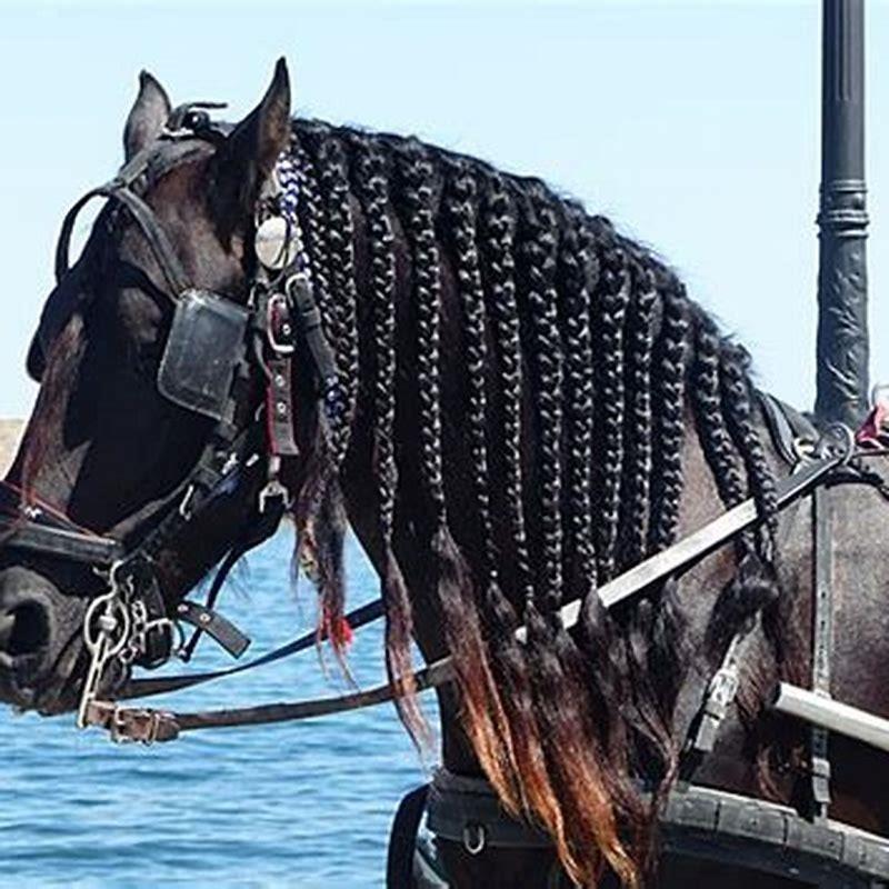What do winkers do for a horse?