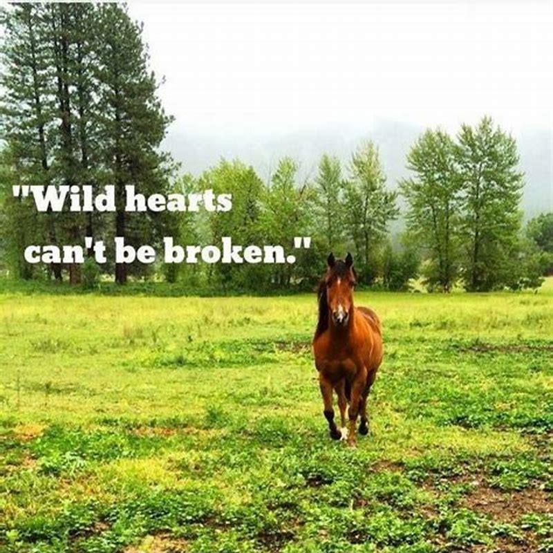 What do you call to a small horse?