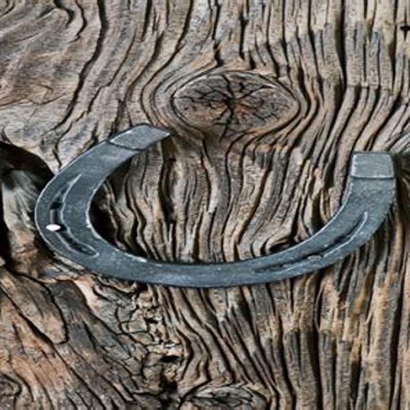 What do you wear to horse camp?