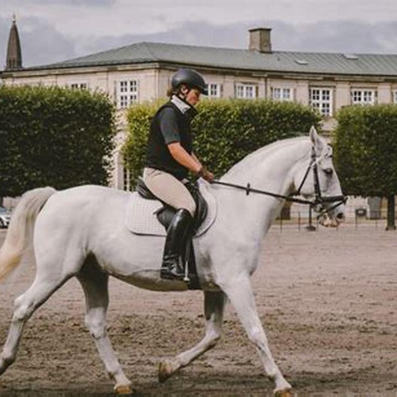 What does a beginner horse rider need?