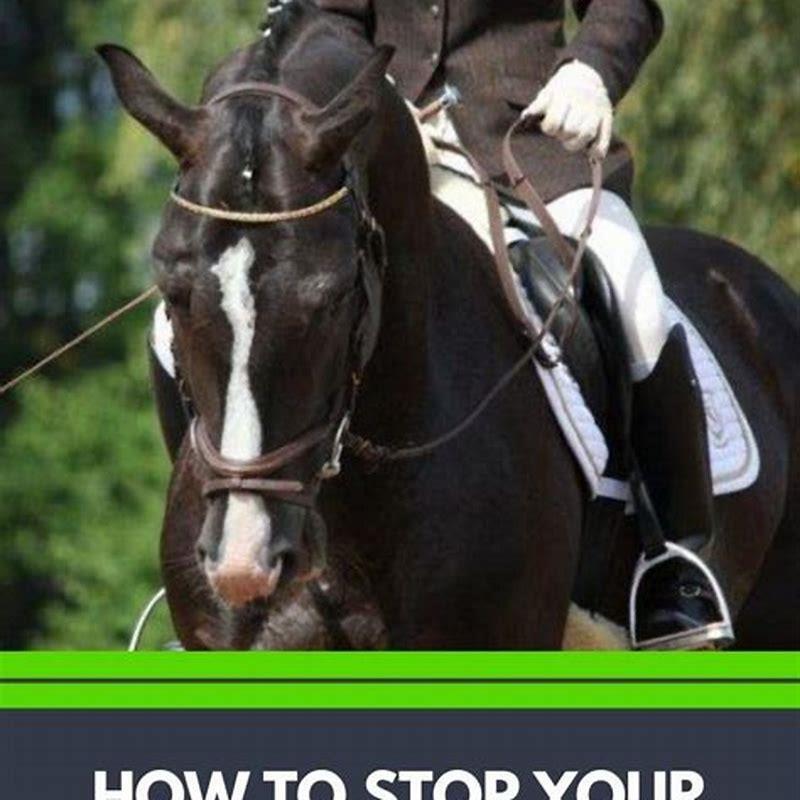 What does a horse do when it founders?