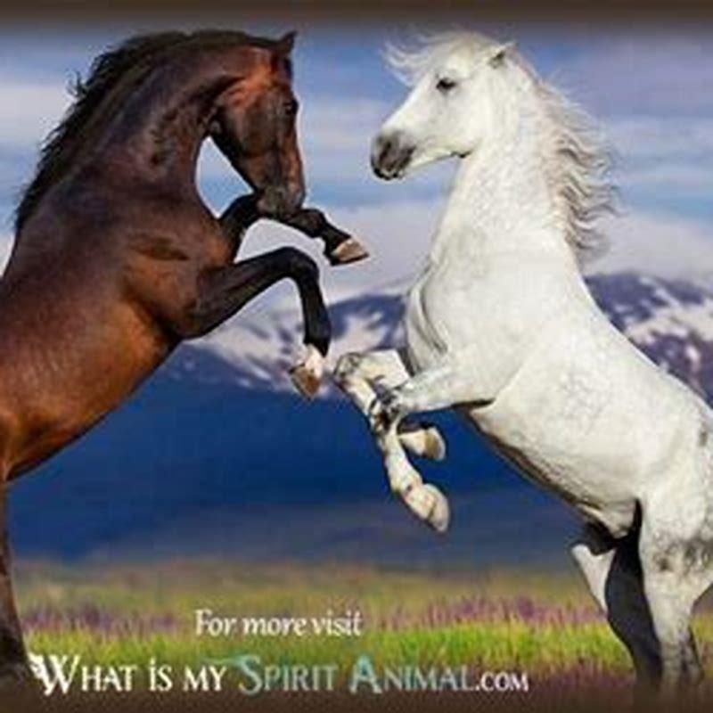 What does a horse symbolize?
