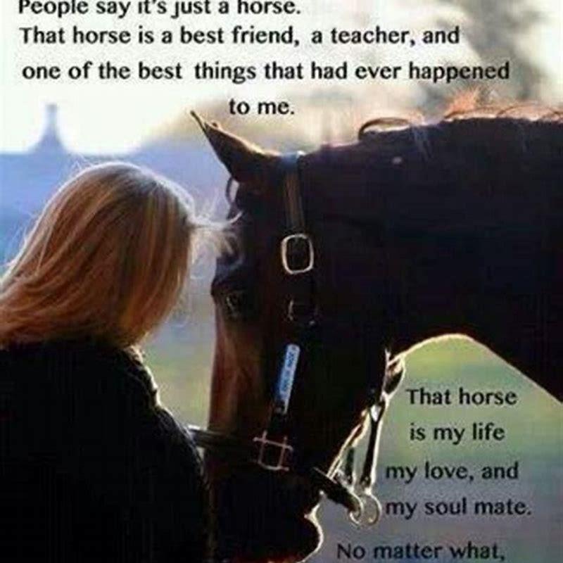 What does being a horse girl mean?