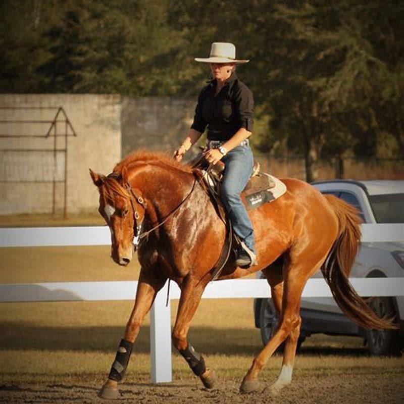 What does grade mean for horses diy seattle