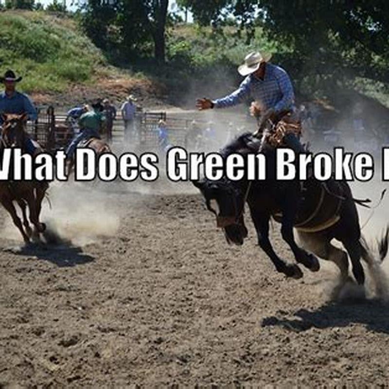 what-does-green-broke-mean-in-a-horse-diy-seattle