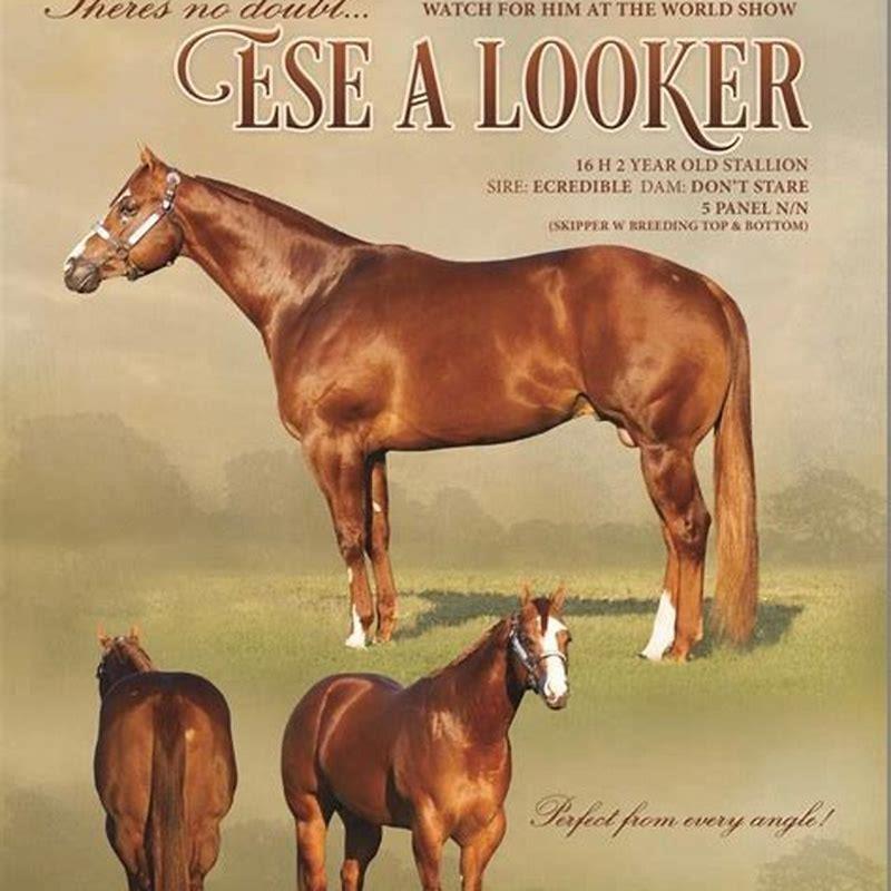 What does it mean a horse is green?