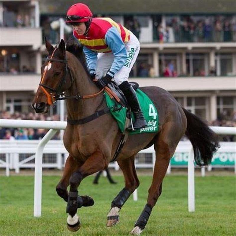 What does M mean in horse racing?