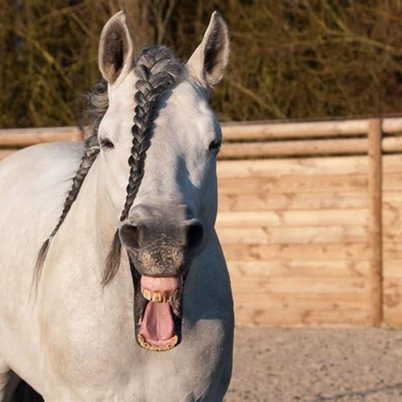 What does neighing sound like?