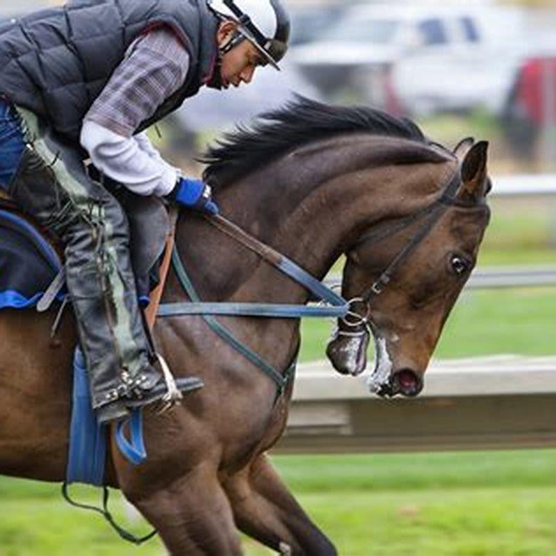 What does the bit do for a horse?