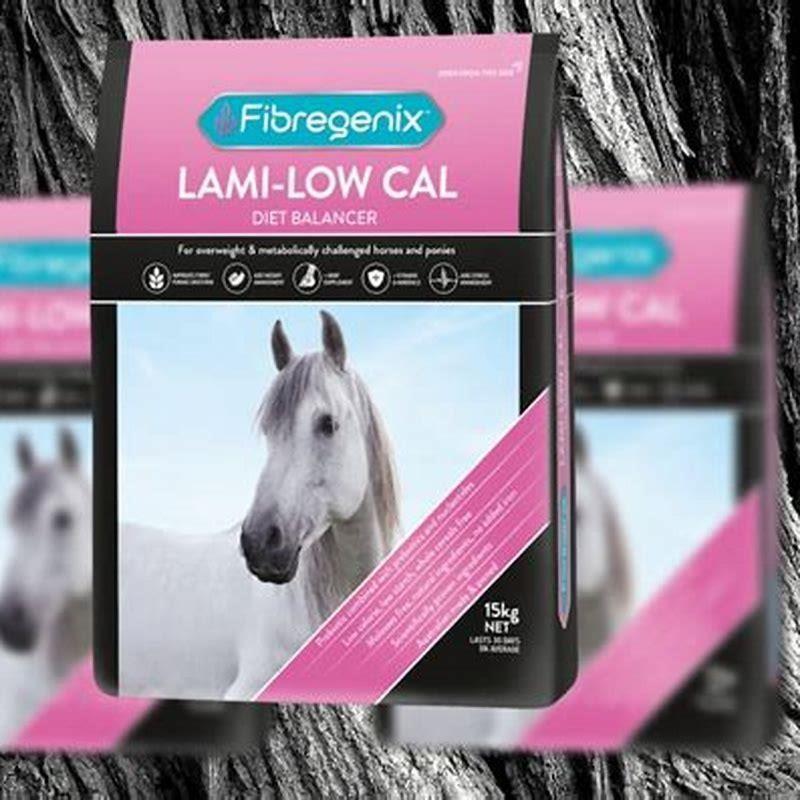 what-feed-is-best-for-laminitic-horses-diy-seattle