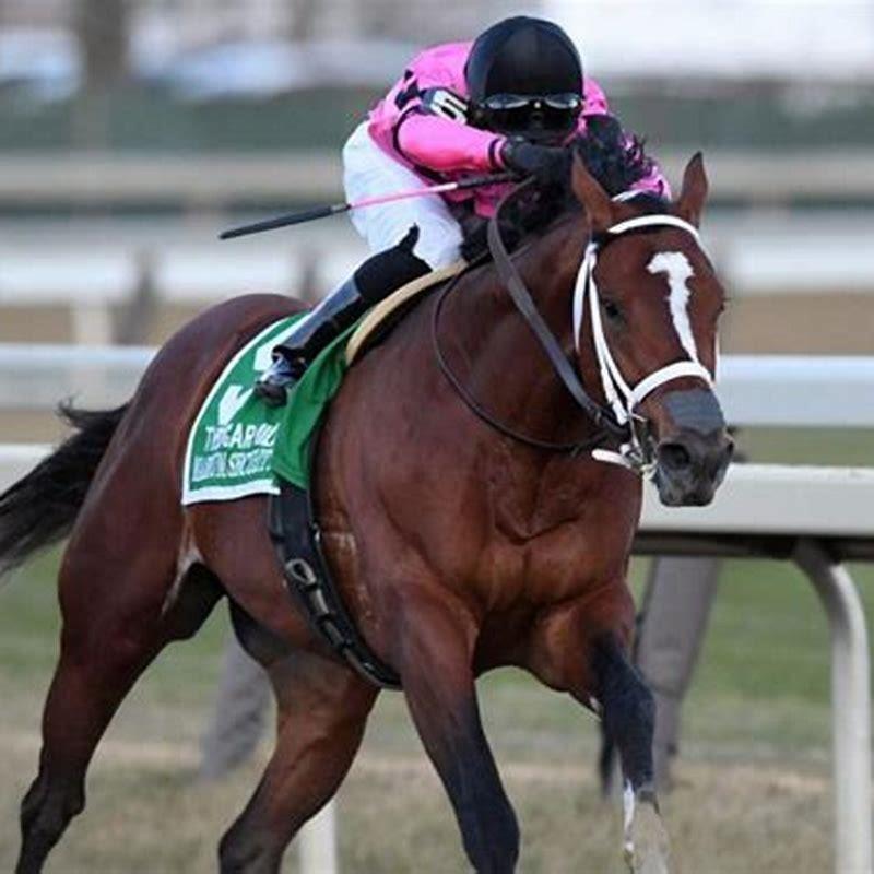 What happened to the horse Preakness?